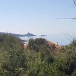 Bouganville
