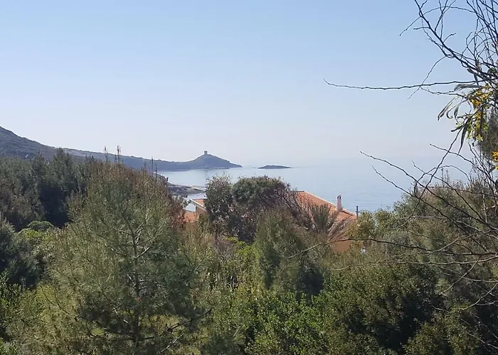 Bouganville